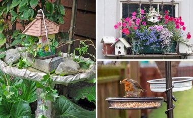 Pak frymëzim: 20 ide kreative se si të organizoni një kënd zogjsh në kopsht ose në ballkon