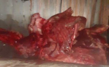 Asgjësohen 300 kilogramë mish i prishur në Skenderaj