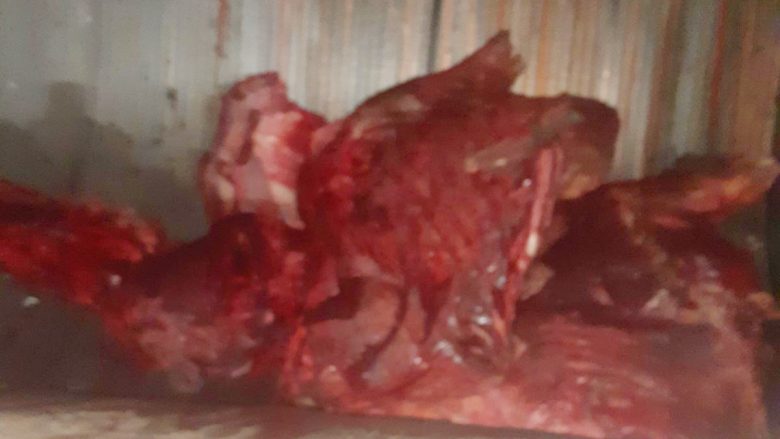Asgjësohen 300 kilogramë mish i prishur në Skenderaj