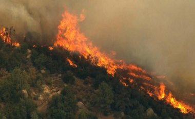 Zjarri përfshinë disa shkurre në Shtërpcë, digjen edhe dy hektar me dru