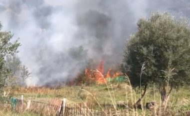30 hektarë pyje përfshihen nga zjarri në Gjakovë
