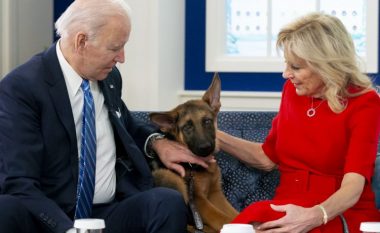 Joe Biden së bashku me bashkëshorten treguan se sa të hyra kanë pasur vitin e kaluar