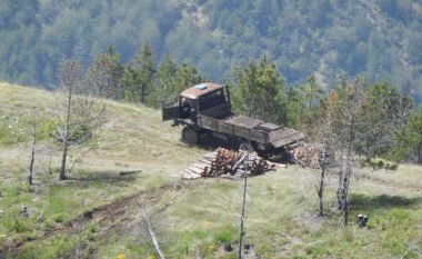 Shoqata e mjedisit në Shqipëri bën thirrje për raportimin e krimeve mjedisore nëpërmjet platformës online