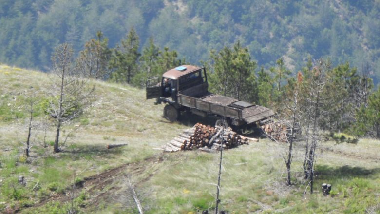 Shoqata e mjedisit në Shqipëri bën thirrje për raportimin e krimeve mjedisore nëpërmjet platformës online