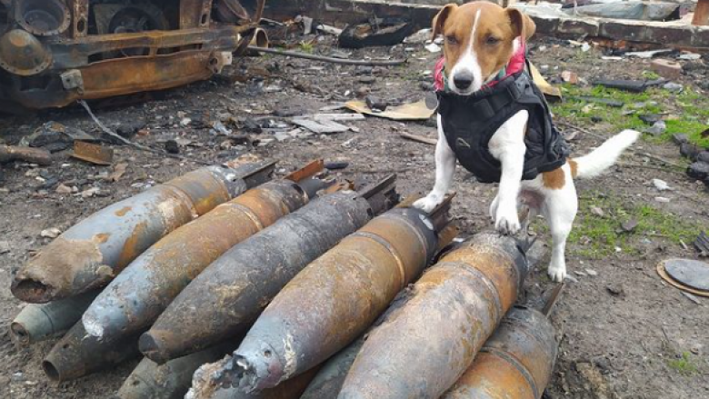 Ky qen ka gjetur mbi 150 pajisje shpërthyese dhe mina tokësore në Ukrainë