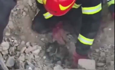 Pamjet tregojnë momentin kur një qenush shpëtohet nga rrënojat në Ukrainë