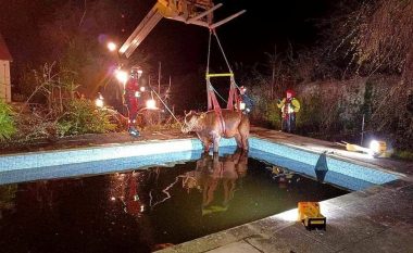 Autoritetet në Angli shpëtojnë demin që përfundoi në pishinë