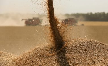 Çmimet botërore të grurit rriten pas ndalimit të eksporteve të drithërave nga India