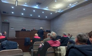 Vëllai i Oliver Ivanoviqit thotë në gjykatë se personat më me ndikim në Mitrovicë raportonin te Milan Radoiçiq