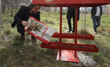 Rama reagon pasi një tjetër qytetare u sulmua nga qentë: Problemi nuk mund të zgjidhet vetëm nga Komuna e Prishtinës