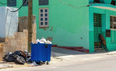 Humb jetën greku në kontejnerin e mbeturinave derisa kërkonte ushqim
