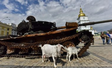 Ukrainasit hapin në Kiev ekspozitën me tanket e shkatërruara ruse