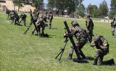 Ushtria Shqiptare stërvitet me ushtarët amerikan, Peleshi: Gati për certifikimin e NATO-s