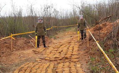 Gjenden rreth 1 mijë e 600 municione eksplozive në Parkun e Lirisë në Ferizaj