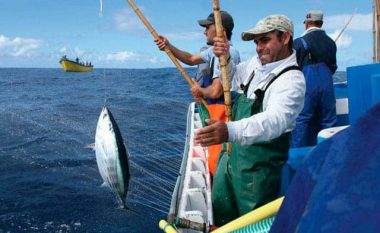 Ruajtja e ekosistemit ujor: BE-ja synon ta ndryshojë sistemin e kontrollit në sektorin e peshkimit
