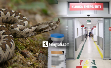 Shërbimi Spitalor thotë se ka furnizim të qëndrueshëm me serum kundër kafshimit nga gjarpëri