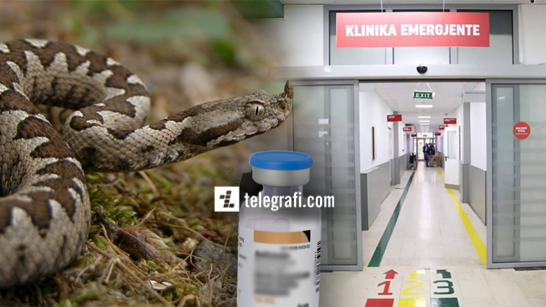Shërbimi Spitalor thotë se ka furnizim të qëndrueshëm me serum kundër kafshimit nga gjarpëri