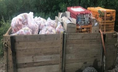 Kontrabandim me mallra – policia konfiskon mish, barna, pula e lepuj në kufirin Kosovë-Serbi
