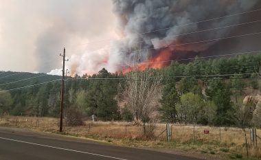 Zjarri në New Mexico djeg gati 300,000 hektarë, konsiderohet si zjarri më i madh në historinë e shtetit