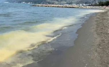 Pluhuri i verdhë në bregun e detit në Shëngjin, eksperti: Mund të jetë krijuar nga pjalmi i pishave