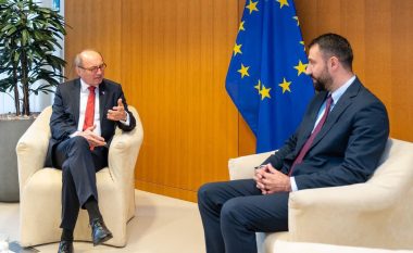 Krasniqi takohet me nënkryetarin e PE-së, flasin për demokracinë lokale dhe reformat e qeverisjes vendore