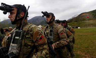SHBA i jep Shqipërisë 17 milionë dollarë për ushtrinë