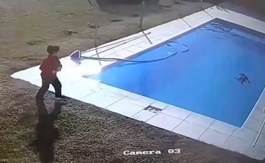 Pesëvjeçari nuk mendon dy herë, hidhet dhe shpëton qenin që po mbytej në një pishinë
