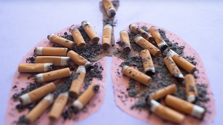 Dita Botërore pa Duhan – Kosova brenda një viti ‘dogji’ 87 milionë euro cigare