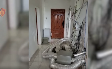 Dalin pamjet e shtëpisë me kanabis në Kurbin, arrestohet 34-vjeçari