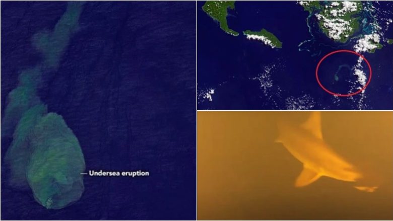 Sateliti i NASA-s ka fotografuar pamje të vullkanit nënujor te “shtëpia e peshkaqenëve” në thellësitë e Oqeanit Paqësor