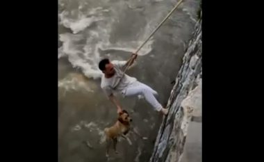 Qytetari e shpëton qenin nga rrjedha e lumit në Prizren