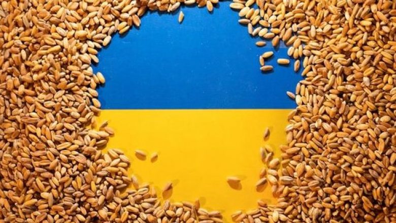 Ukraina akuzon Rusinë për vjedhjen e 600 mijë tonë grurë