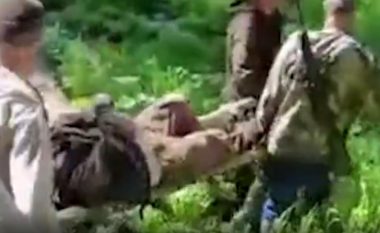 Hakmarrja e ariut të plagosur, mendoi se e ka vrarë dhe iu afrua – kafsha e egër mbyt gjuetarin rus