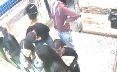 Deshën t’ia vjedhin telefonin një vajze në një furrë në Beograd, hajnat pendohen keq – një burrë i vëren dhe i rrah brutalisht  