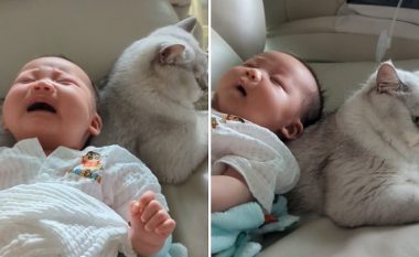 Foshnja nuk i ndalë lotët kur e ëma e mban në duar – ndalet menjëherë pasi e mbështet në shpinën e maces