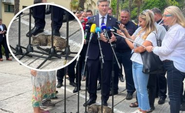 Derisa kryeministri kroat po fliste para mediave – erdhi një mace dhe u ul para këmbëve të tij dhe e zuri gjumi