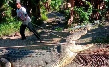 “Më duhej të shfrytëzoja një mundësi”, thotë indoneziani që kapi me litar krokodilin me gjatësi prej 4.3 metrash