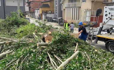 Pas tragjedisë në Prishtinë, komuna nis prerjen dhe krasitjen e drunjve të dëmtuar