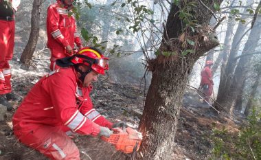 Ministria e Mbrojtjes në Shqipëri:Neutralizohen vatrat e zjarrit në ishullin e Sazanit