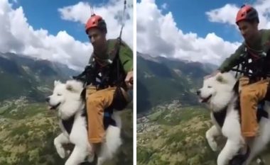 Shikoni si duket kur pronari e merr qenin në një udhëtim me paraglidi