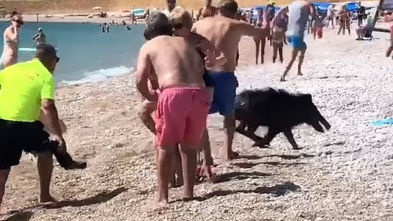 Derri i egër trazon pushuesit në plazhin spanjoll