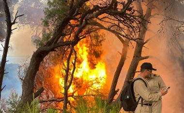 Peleshi: Izolohen disa nga vatrat më të rrezikshme të zjarrit në Sazan