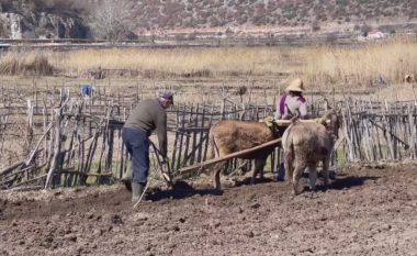 Shpopullimi i fshatrave në Shqipëri, mbështetja direkte e bujqve mund të frenojë largimet masive nga vendi