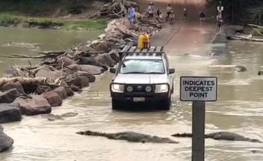 I guximshëm apo i çmendur? Shoferi i një veture 4WD përpiqet të kalojë lumin famëkeq edhe pse shumë krokodilë bllokojnë shtegun