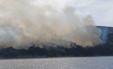 Zjarr në Ishullin e Sazanit, digjen pisha e shkurre në “Plazhin e Gjeneralit”