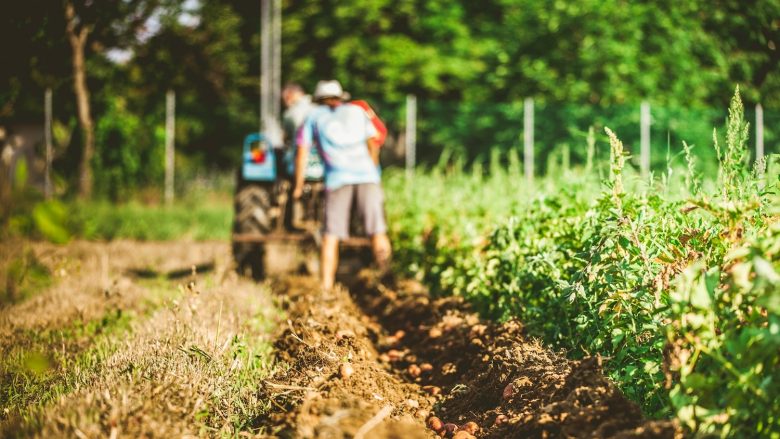 26 milionë euro përkrahje për fermerët, së shpejti hapet aplikimi