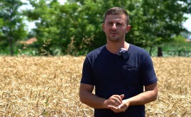 Me grurë, kundër Putinit! Durrsaku bujk patriot mbjell 137 hektarë drithëra