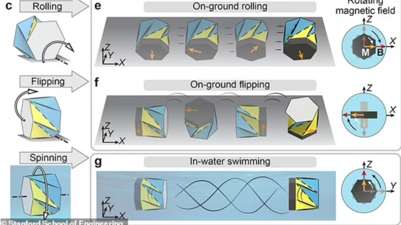 Mini-roboti ‘origami’ do të mund të përdoret për shpërndarjen e medikamenteve brenda trupit të pacientëve