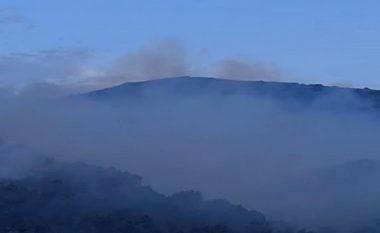 Neutralizohen 14 vatra zjarri në ishullin e Sazanit