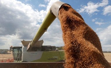 Ukraina thotë se po hasin vështirësi në eksportimin e drithërave përmes Polonisë dhe Rumanisë